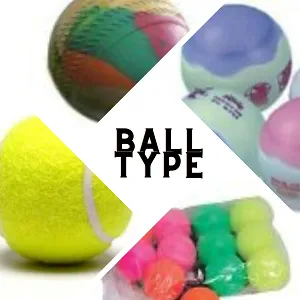 Ball type
