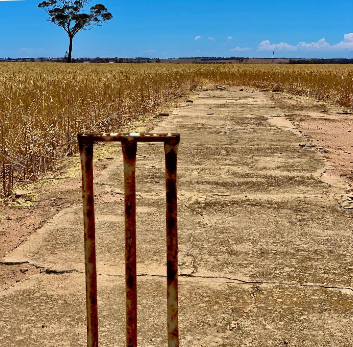 Barren local grounds indicate low grassroots cricketers.

