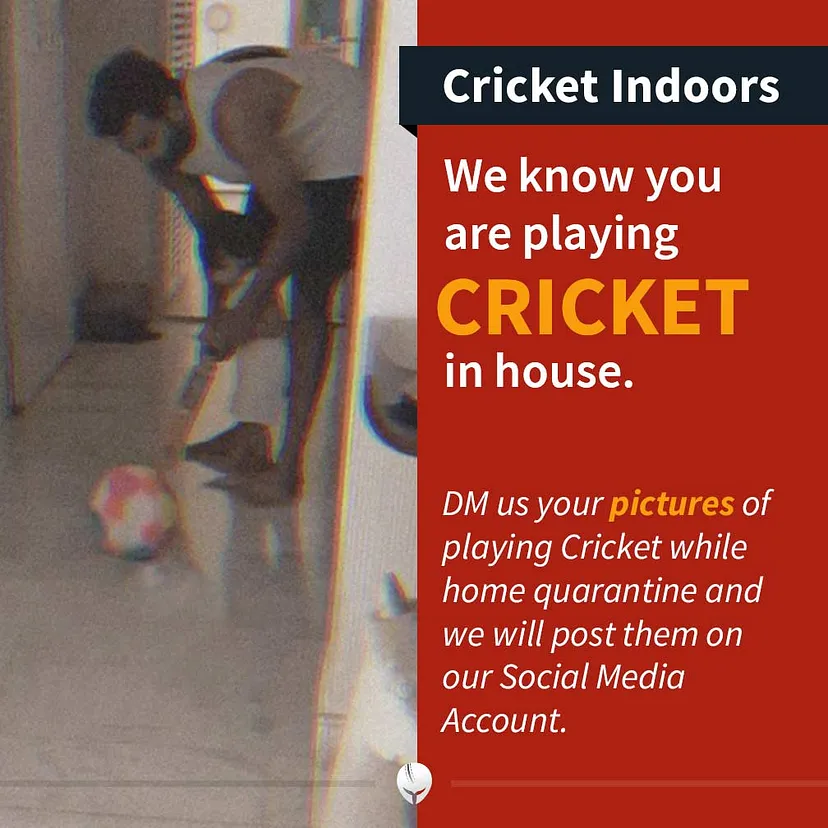 Cricket at Home