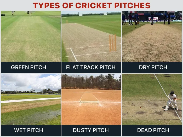Types of Cricket Pitches
