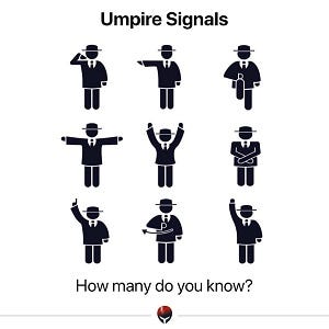 Signals Used by Cricket Umpires